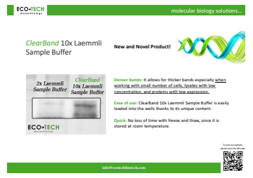 10x Laemmli Sample Buffer