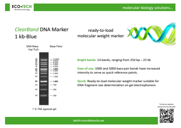 DNA Marker 1kb-Blue