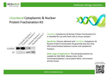 Cytoplasmic & Nuclear Protein Fractionation Kit