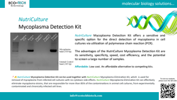 Mycoplasma Detection & Elimination Kits