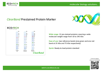 Prestained Protein Marker