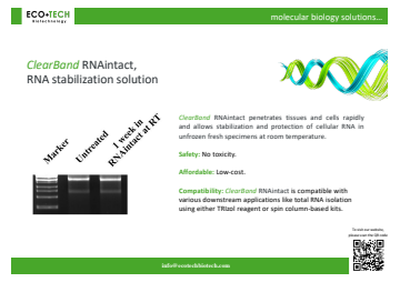 RNAintact RNA Stabilization Solution
