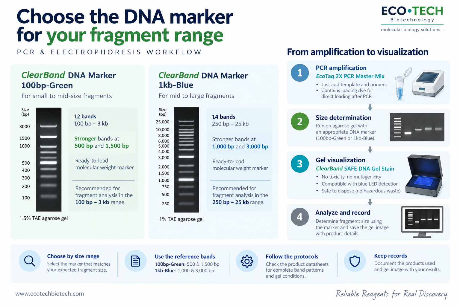 Choose the DNA marker for your fragment range