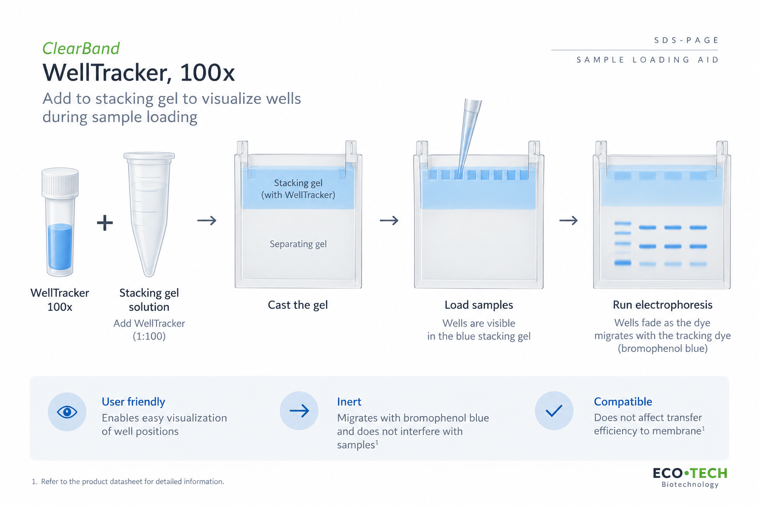 See the wells, follow the marker, visualize the gel