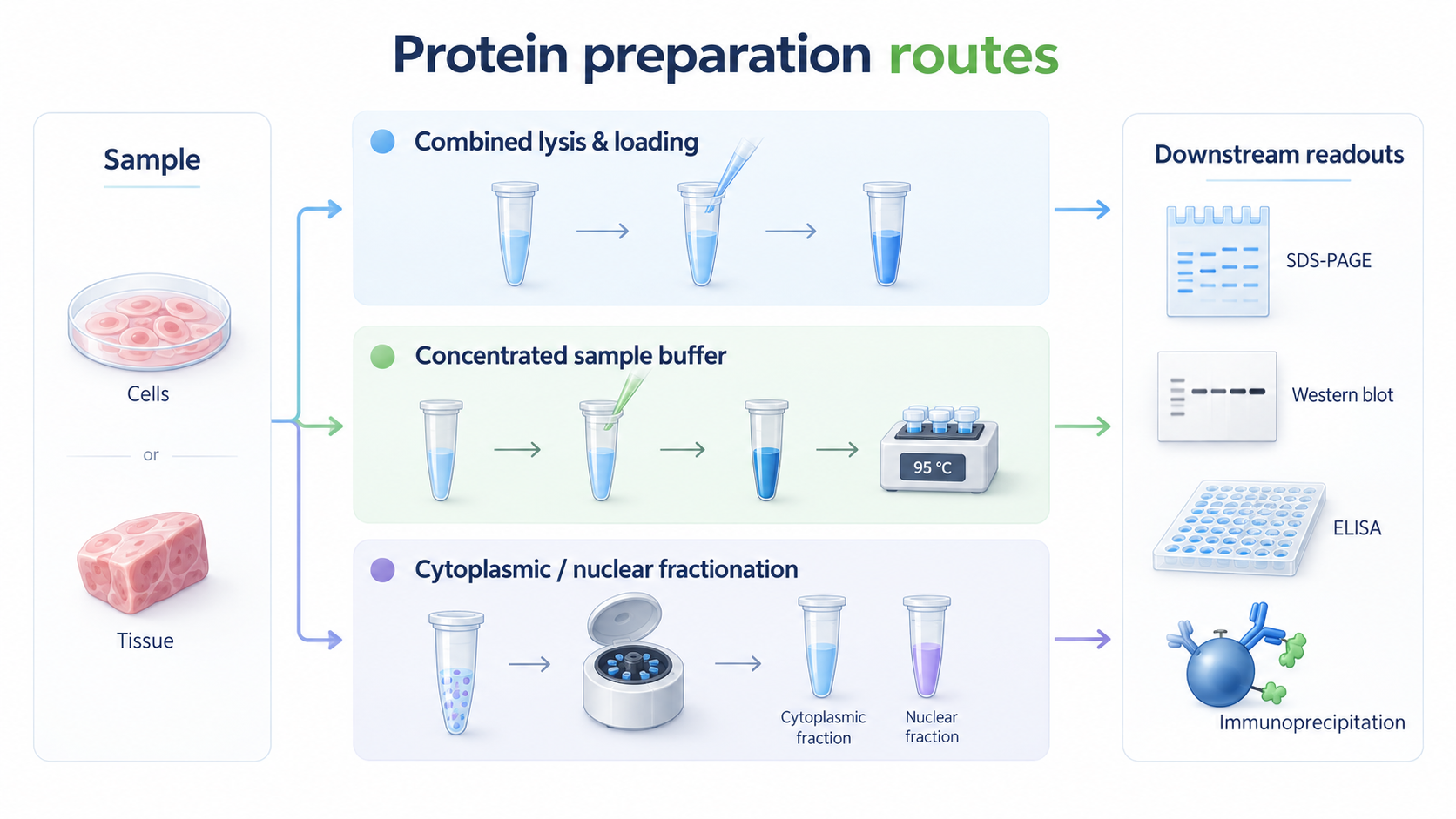 Choose a protein preparation route around your readout