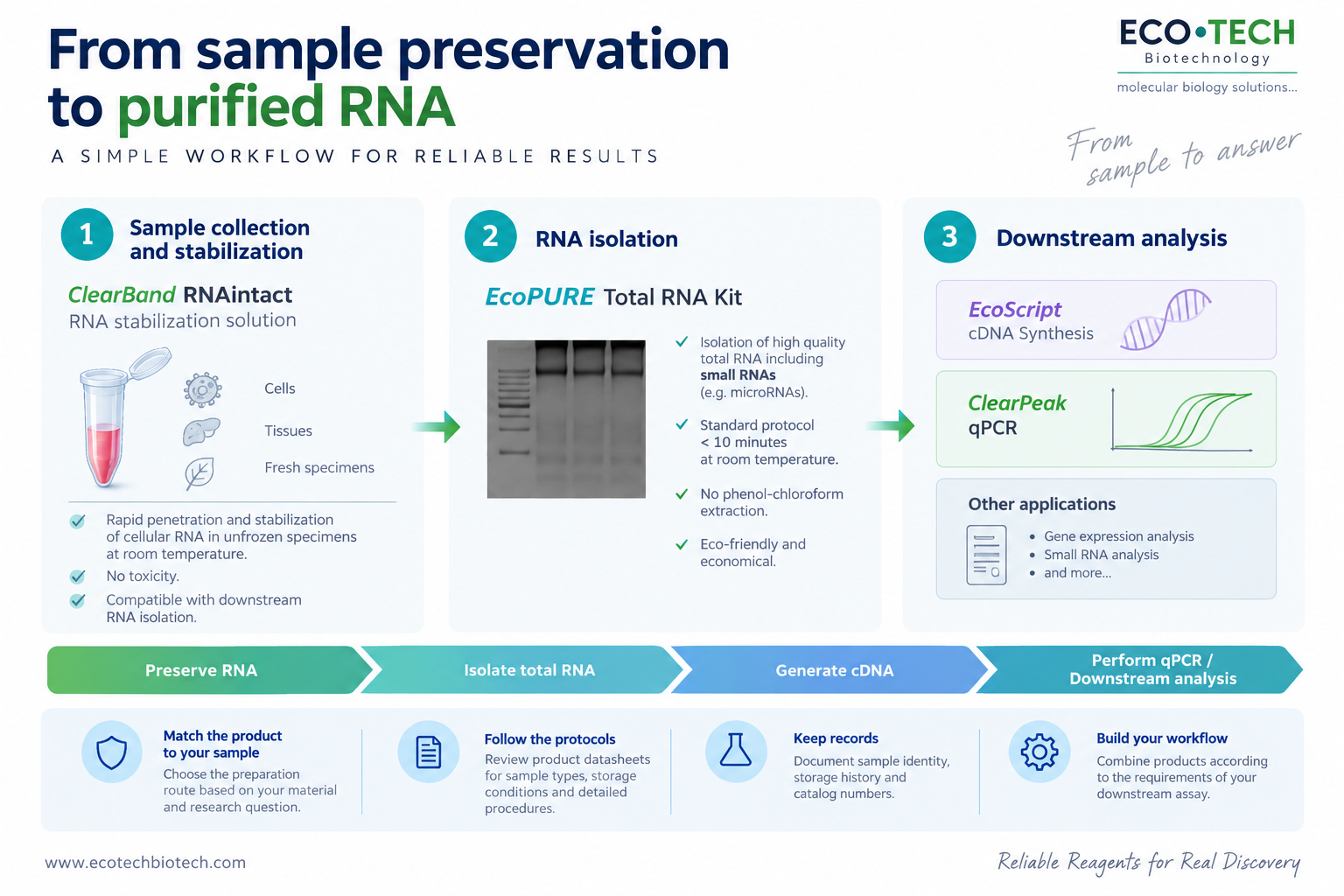 From sample preservation to purified RNA
