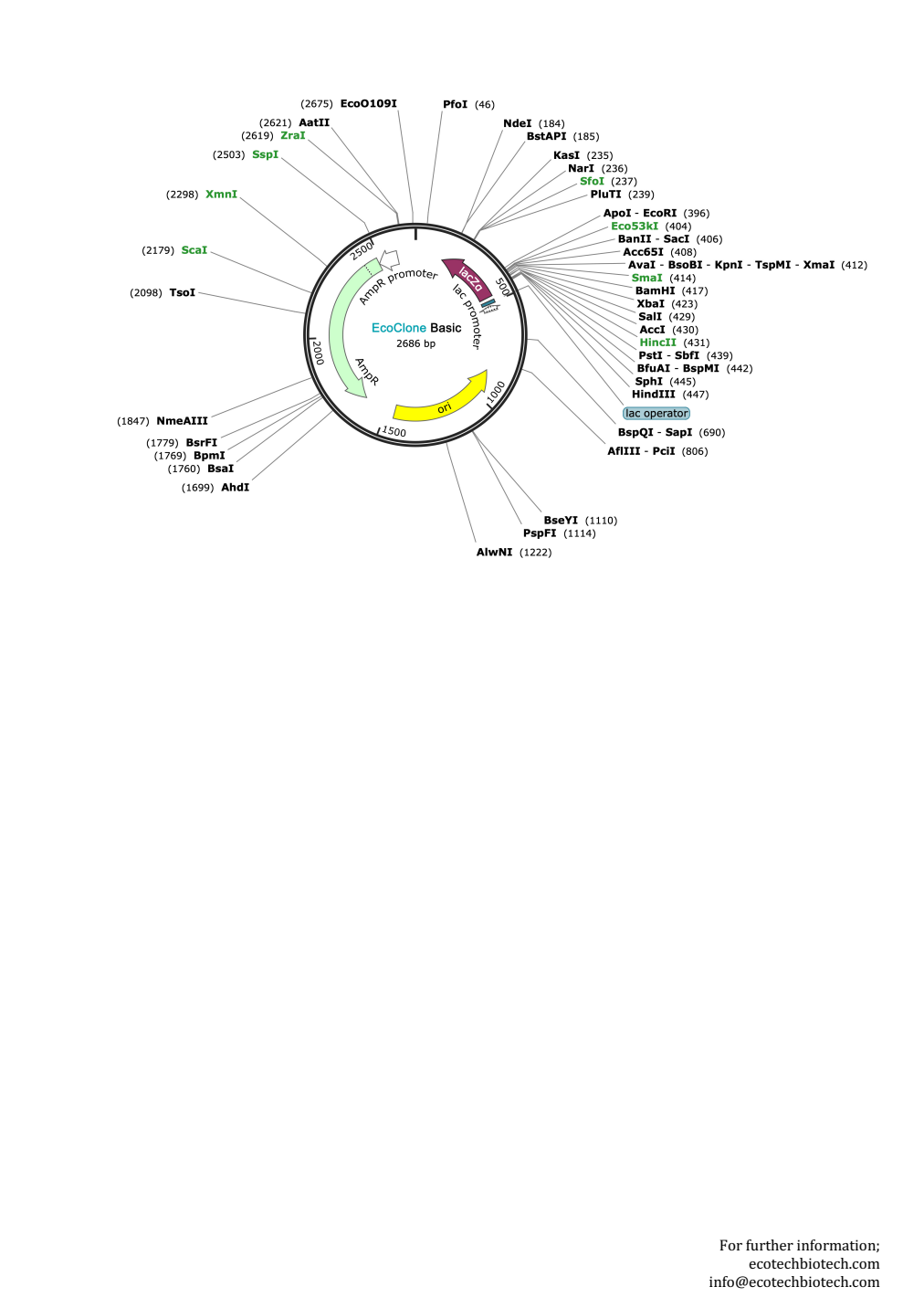 Original EcoClone Basic plasmid vector map, 2686 bp